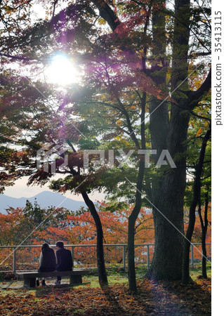 Autumn fall foliage youth young couple landscape photo 35413115