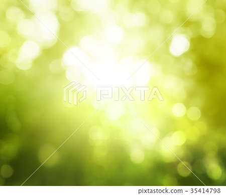 bokeh of sunny forest 35414798
