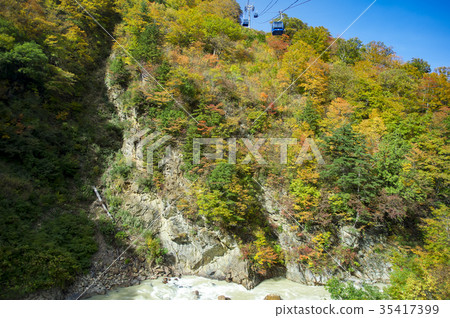 Naeba of the season of colored leaves Naeba of the season of colored leaves 35417399