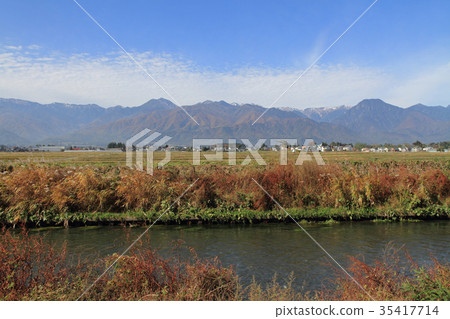 Azumino The Northern Alps in the fall seen from the banks of the Mansui River Azumino The Northern Alps in the fall seen from the banks of the Mansui River 35417714