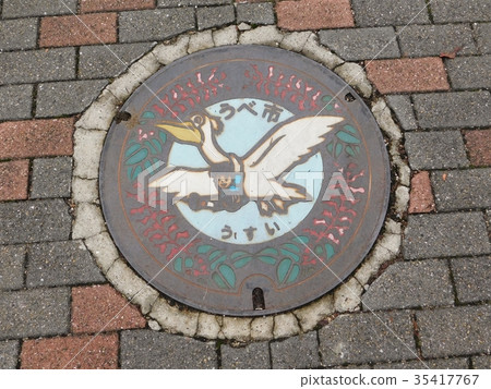 Pelicans manhole cover 35417767