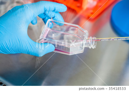 Scientist working with a cell culture flask 35418533