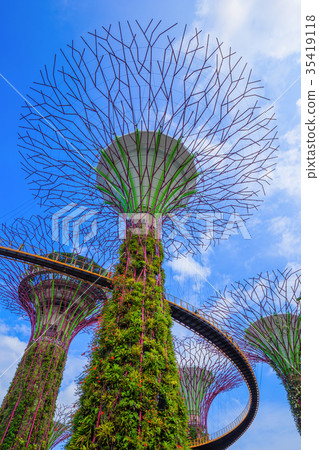Gardens by the bay at Singapore Gardens by the bay at Singapore 35419118