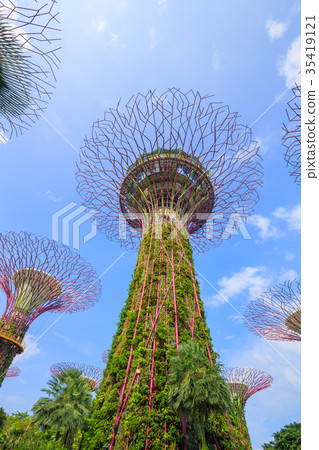 Gardens by the bay at Singapore Gardens by the bay at Singapore 35419121