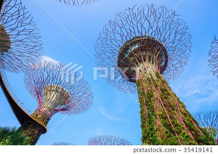 Gardens by the bay at Singapore Gardens by the bay at Singapore 35419141