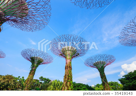 Gardens by the bay at Singapore Gardens by the bay at Singapore 35419143