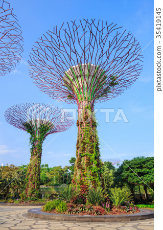 Gardens by the bay at Singapore Gardens by the bay at Singapore 35419145