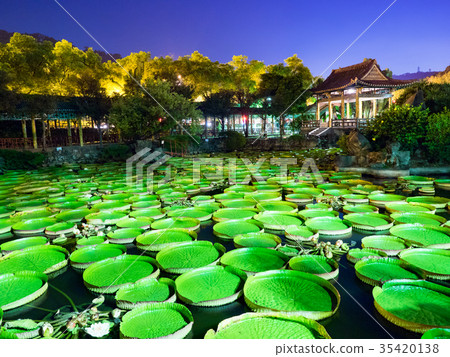 晚上的雙溪公園 35420138