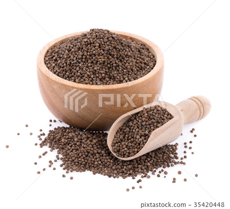 Perilla herb seed on white background Perilla herb seed on white background 35420448