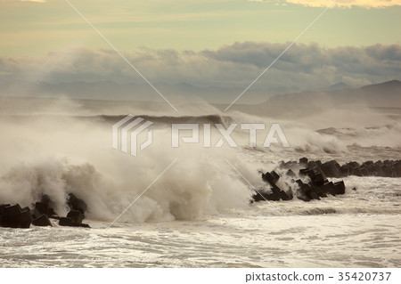 typhoon 35420737