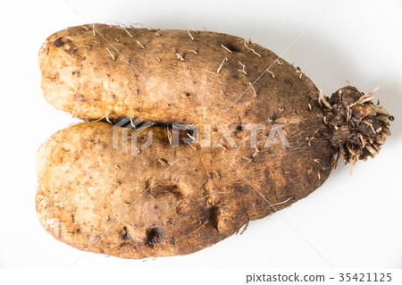 Tsukune牛肉 35421125