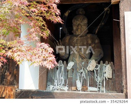 Aki Kokubunji的Nioh先生(左) Aki Kokubunji的Nioh先生(左) 35429264