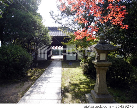 從裡面Aki Kokubun-ji寺的門和石燈籠 35429276