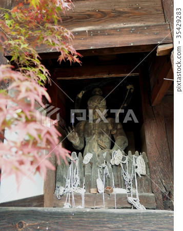Aki Kokubun-ji Temple Hitoh和秋葉（左） 35429283