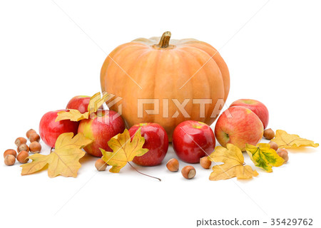 Pumpkin, apples and hazel isolated on white Pumpkin, apples and hazel isolated on white 35429762