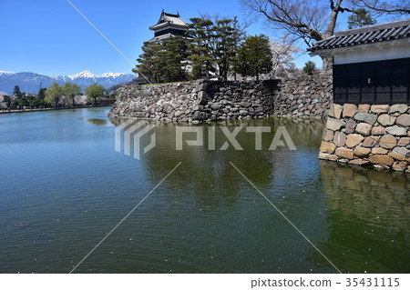 松本城堡和春天的櫻花晴朗的藍天阿爾卑斯山脈的絕佳景色 35431115