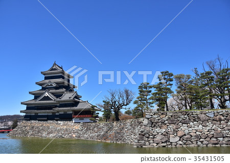 松本城堡和春天的櫻花晴朗的藍天阿爾卑斯山脈的絕佳景色 35431505