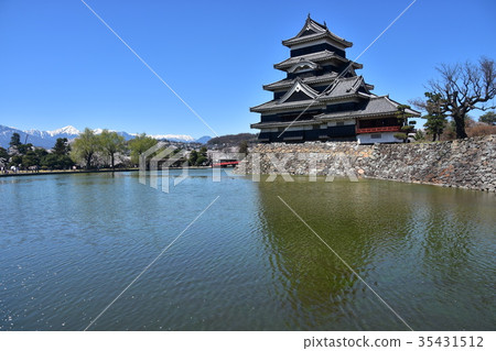 Matsumoto Castle and cherry blossoms in spring A clear blue sky A superb view over the Alps mountains 35431512