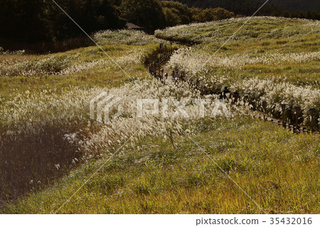 Plateau of Susuki Plateau of Susuki 35432016