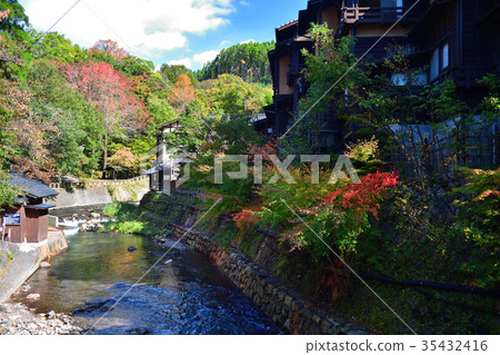 Autumn leaves 35432416