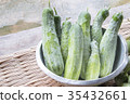 Raw Organic Cucumbers.Cucumber photo 35432661