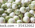 Closeup of eggplants or solanum laciniatum 35432662