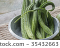 Angled Loofah Sponge gourd 35432663