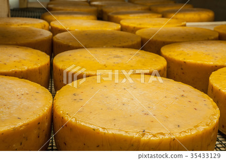 Aging cheese at cheese factory 35433129