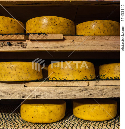 Aging cheese at cheese factory Aging cheese at cheese factory 35433142
