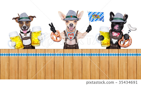 bavarian beer dogs row 35434691