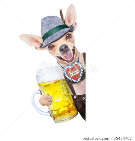 bavarian beer dog 35434702