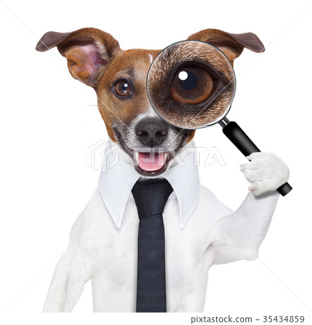 magnifying glass dog 35434859