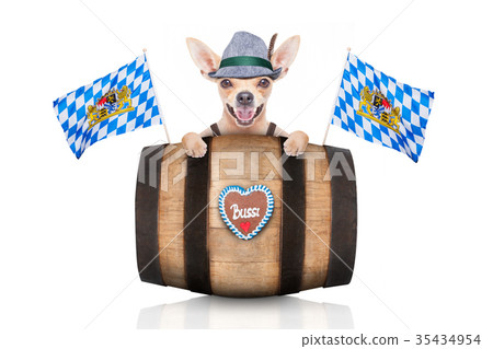 bavarian beer dog 35434954