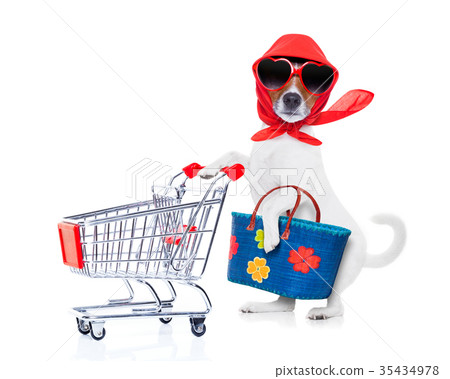 shopping dog diva 35434978