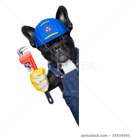 plumber dog with wrench plumber dog with wrench 35434993