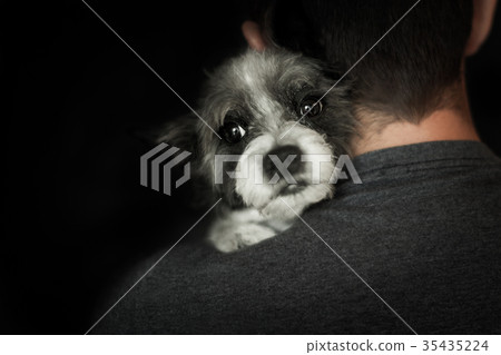 dog and owner close together dog and owner close together 35435224