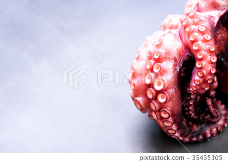 Boiled octopus on metal background with copy space 35435305