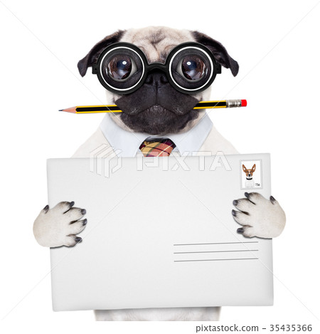 mail delivery post dog mail delivery post dog 35435366