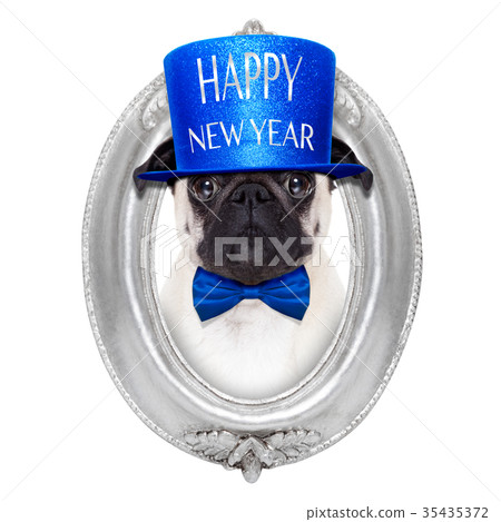 happy new year dog 35435372