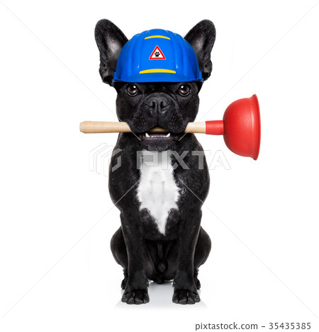 plumber dog with plunger plumber dog with plunger 35435385
