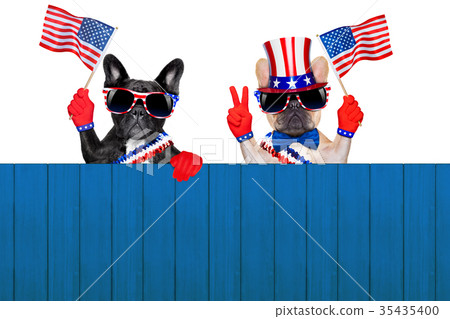 4th oh july row of dogs 35435400