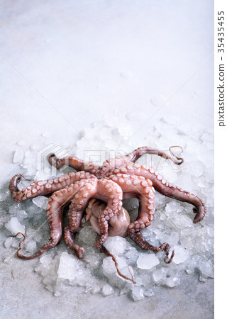 Fresh raw octopus on ice, grey concrete background 35435455