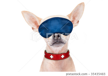 sleepyhead  baby dog 35435483