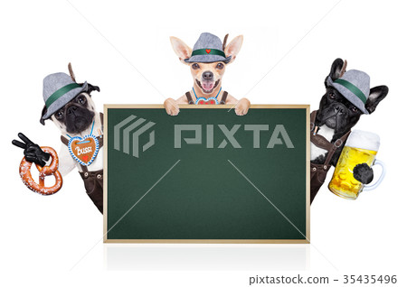 group of bavarian beer dogs 35435496