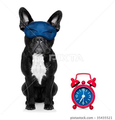 sleepyhead baby dog sleepyhead baby dog 35435521