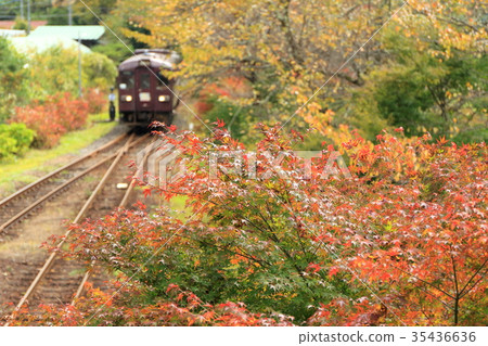 Watarase Valley Shindo / Sawairi Station "From the gap between the trees that have fallen in the leaves" Watarase Valley Shindo / Sawairi Station "From the gap between the trees that have fallen in the leaves" 35436636