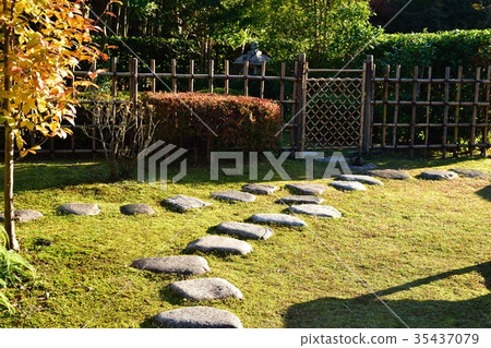 Stepping stones 35437079