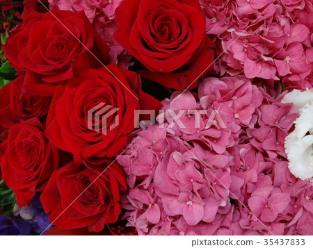 colorful flowers wallpaper colorful flowers wallpaper 35437833