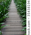 road 35438194