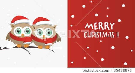Couple of owls with Santa Claus hat Couple of owls with Santa Claus hat 35438975